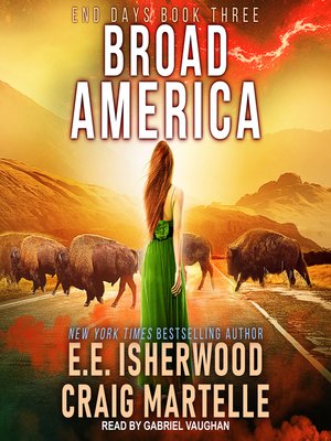 cover image of Broad America